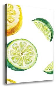 Feszített vászonkép Limes, citrom