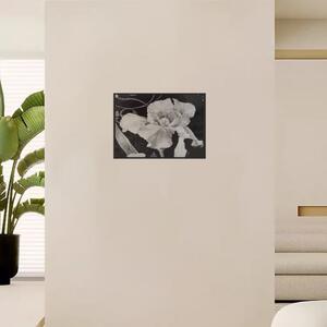 Fekete-fehér orchidea kép 40x50 cm