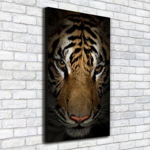Vászonkép Tigris