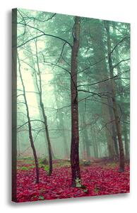 Vászon nyomtatás Erdő ősszel