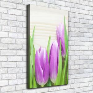 Egyedi vászonkép Lila tulipánok
