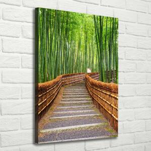 Vászon nyomtatás Bambusz erdő