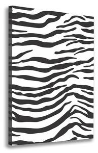 Fénykép vászon Zebra háttér