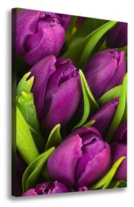 Egyedi vászonkép Lila tulipánok