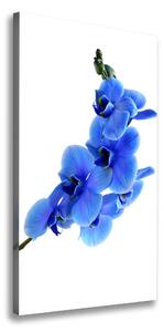 Egyedi vászonkép Kék orchidea