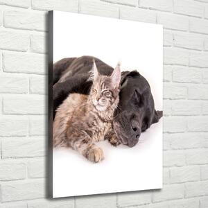 Vászonkép Kutya és macska