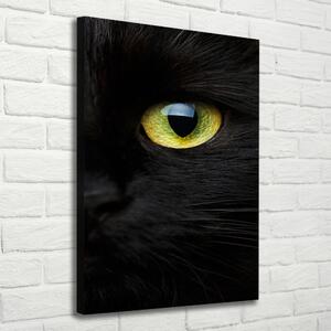 Vászonkép Macska szemek