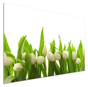Konyhai falvédő Fehér tulipán