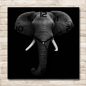 Szögletes üvegóra Afrikai elefánt