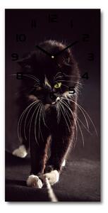Négyszögletes fali üvegóra Fekete macska