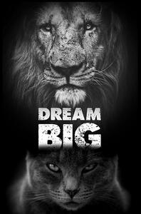 Dream Big poszter, falikép