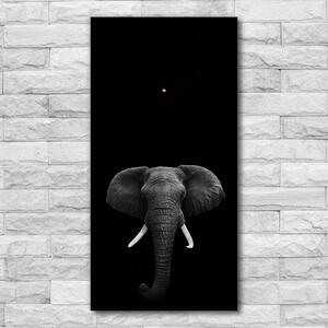 Négyszögletes fali üvegóra Afrikai elefánt