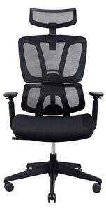 Ergonomikus Balance Pro irodai szék, RONDI, hálós háttámlával, állítható deréktámasszal, szinkron mechanizmussal, fekete