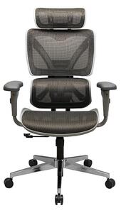 Ergonomikus irodai szék Performance, RONDI, hálós háttámlával, állítható deréktámasszal, szinkron mechanizmussal, fekete