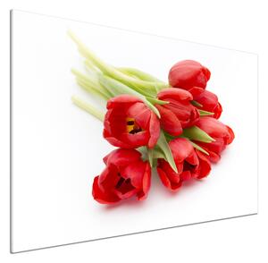 Konyhai falvédő panel Piros tulipánok