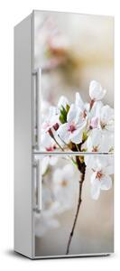 Hűtő matrica Cseresznye virágok