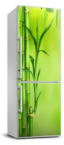 Hűtő matrica Bambusz
