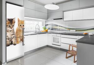 Hűtő matrica Szürke és vörös macska
