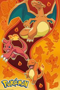 Plakát Pokemon - Fire Type, (61 x 91.5 cm)