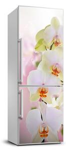 Hűtő matrica Fehér orchidea