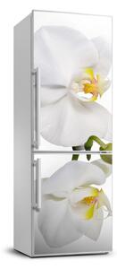 Hűtő matrica Fehér orchidea