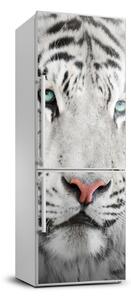 Hűtő matrica Fehér tigris