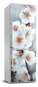 Hűtő matrica Cseresznye virágok