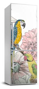 Hűtő matrica Papagájok és virágok