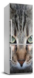 Hűtő matrica Macska szemek