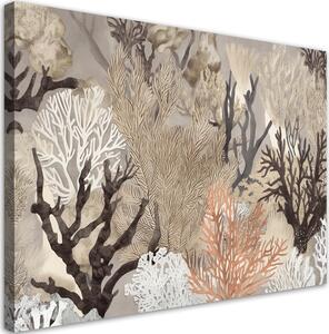 Gario Vászonkép Víz alatti korallok Méret: 60 x 40 cm