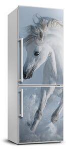 Hűtő matrica Fehér ló