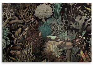 Gario Vászonkép Korallok a tengerben Méret: 60 x 40 cm