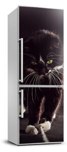 Hűtő matrica Fekete macska