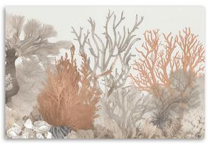 Gario Vászonkép Gyönyörű korallok a tengerben Méret: 60 x 40 cm