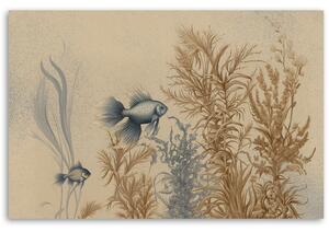 Gario Vászonkép Halak és tengeri növények Méret: 60 x 40 cm