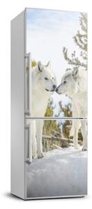 Hűtő matrica Két fehér farkas