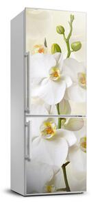 Hűtő matrica Orchidea