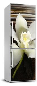 Matrica hűtőre Orchidea