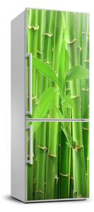 Matrica hűtőre Bambuszok