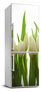 Matrica hűtőre Tulipán