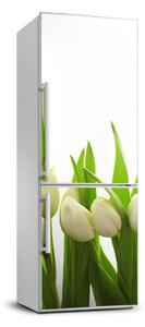 Matrica hűtőre Tulipán