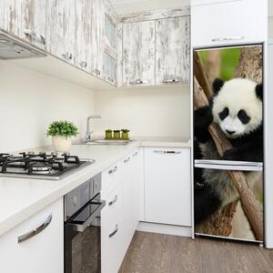 Matrica hűtőre Panda egy fa