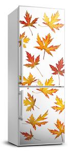 Matrica hűtőre Őszi levelek