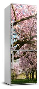 Matrica hűtőre Cseresznyefa
