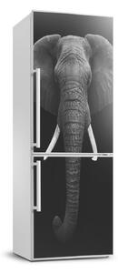 Matrica hűtőre Afrikai elefánt