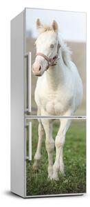Matrica hűtőre Ló albínó