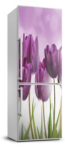 Matrica hűtőre Lila tulipánok