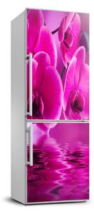 Matrica hűtőre Rózsaszín orchidea