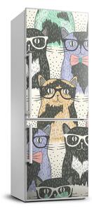 Matrica hűtőre Macskák szemüveg