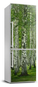 Matrica hűtőre Nyírfa erdő
